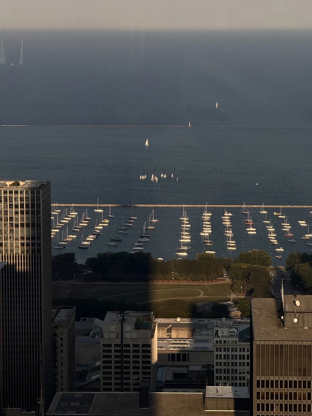 Sailboats on blue water beside the city in evening light